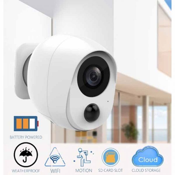 Công Ty TNHH Phát Triển Công Nghệ Nhân Phước